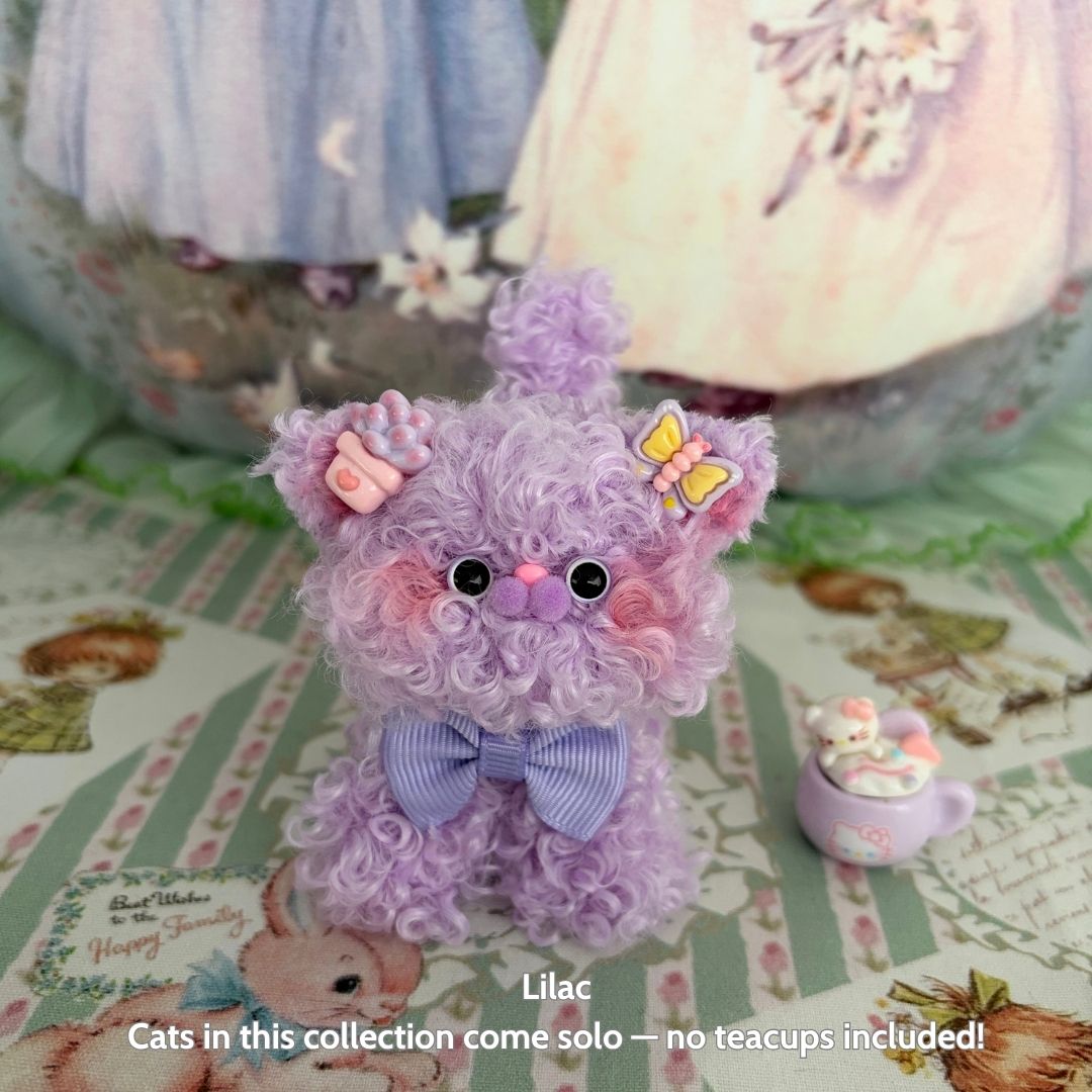 Dolly Kitten Collection