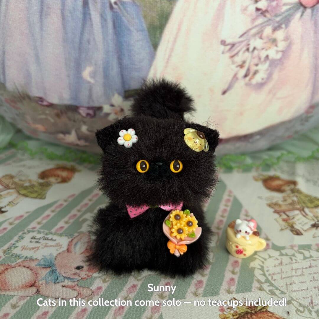 Black Kitten Collection