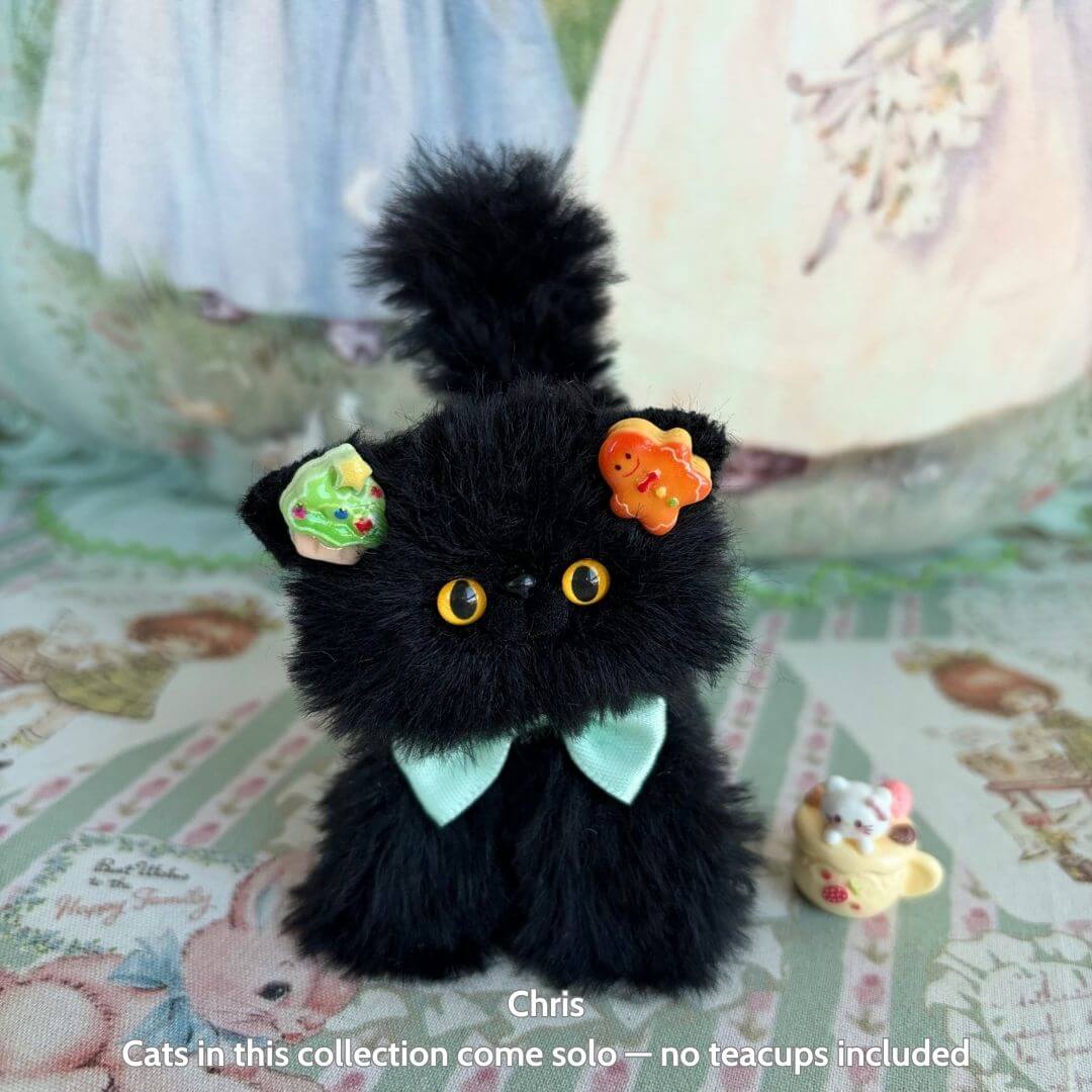 Black Kitten Collection