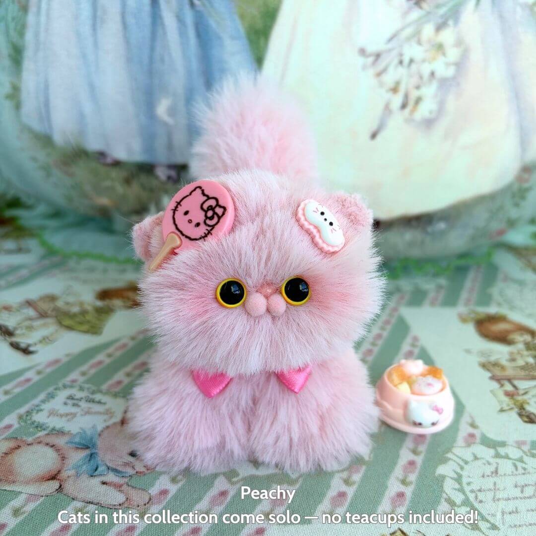 Fluffy Kitten Collection