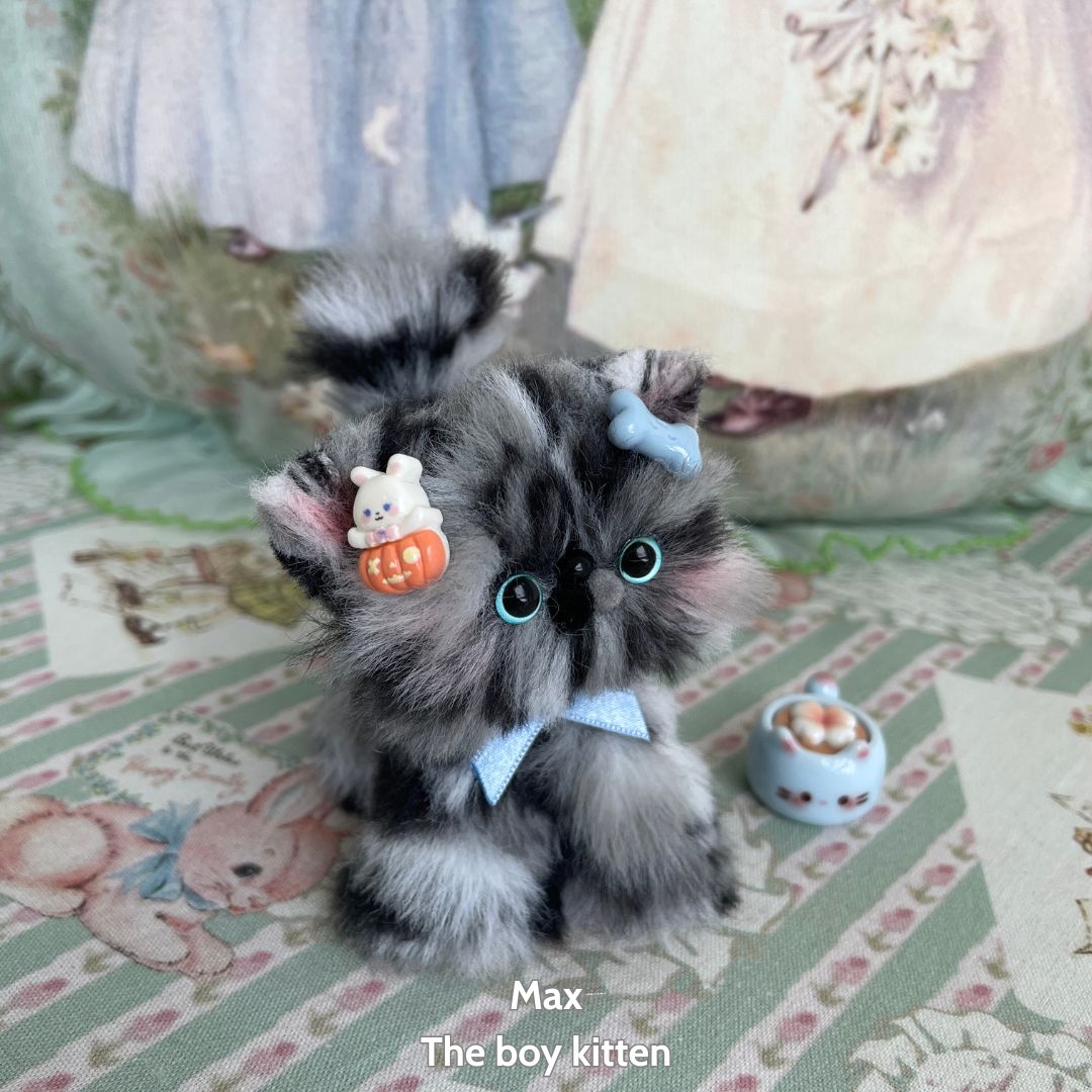 Adorable Kitten Collection