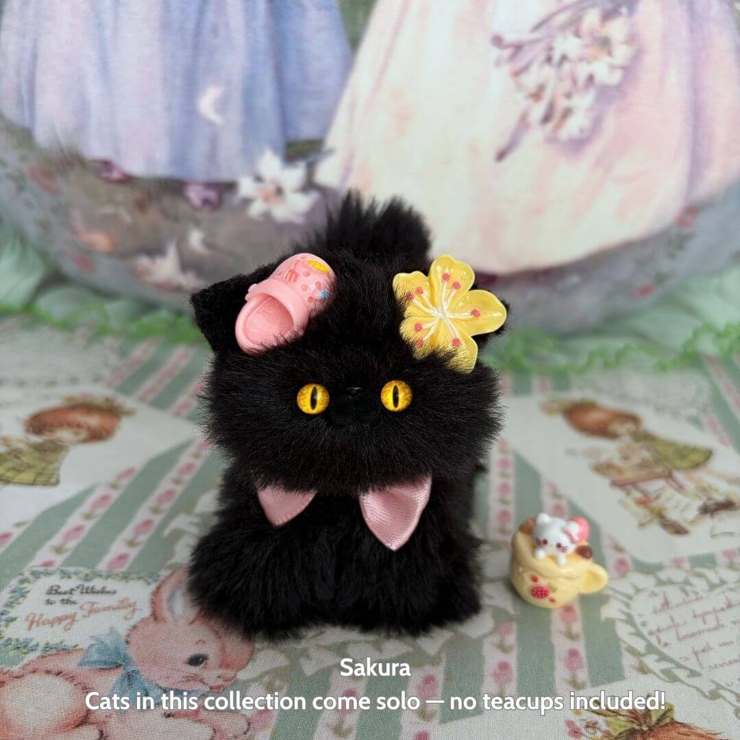 Black Kitten Collection