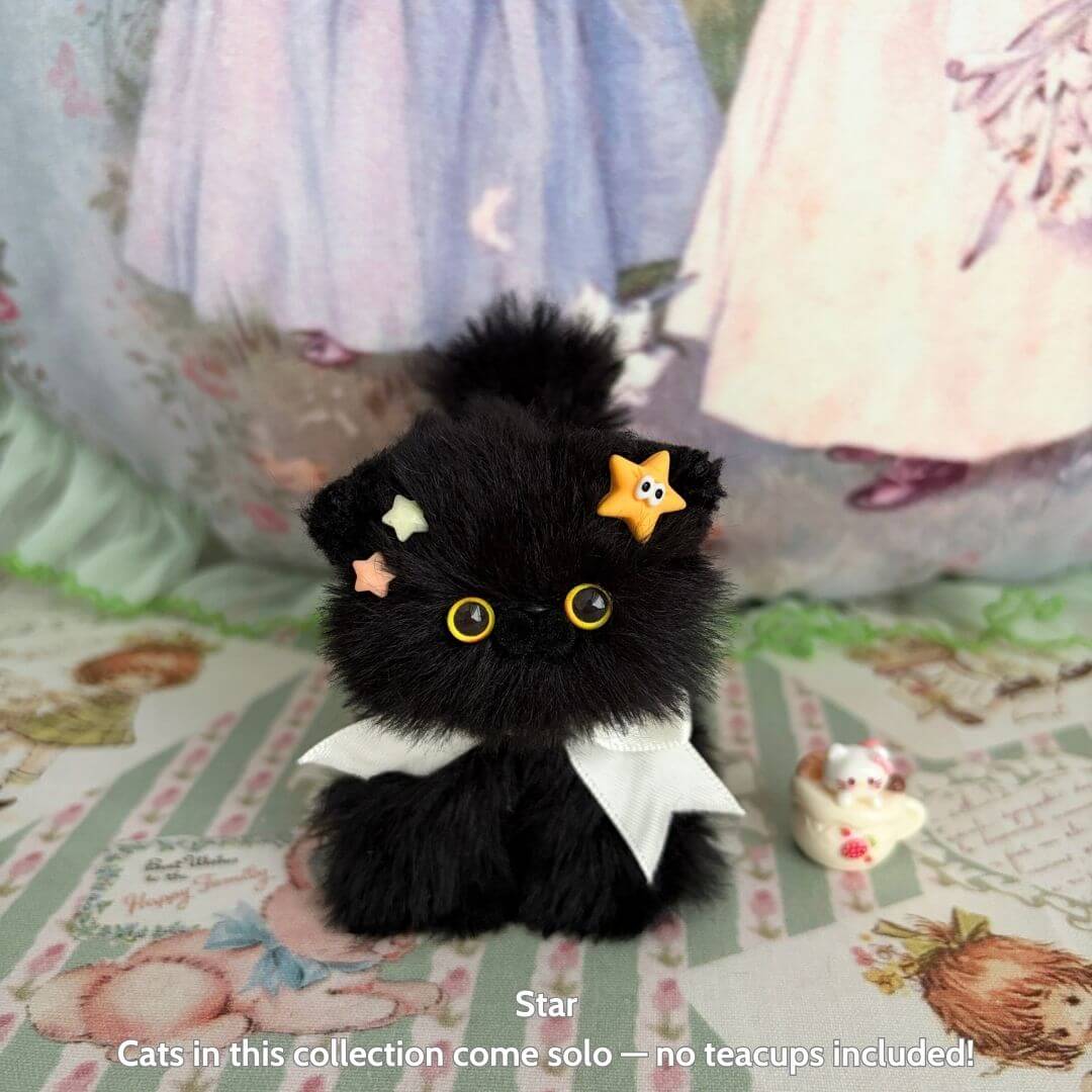 Black Kitten Collection