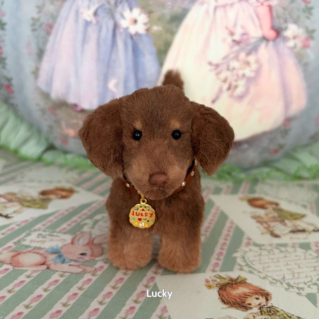 Dachshund Tales Collection
