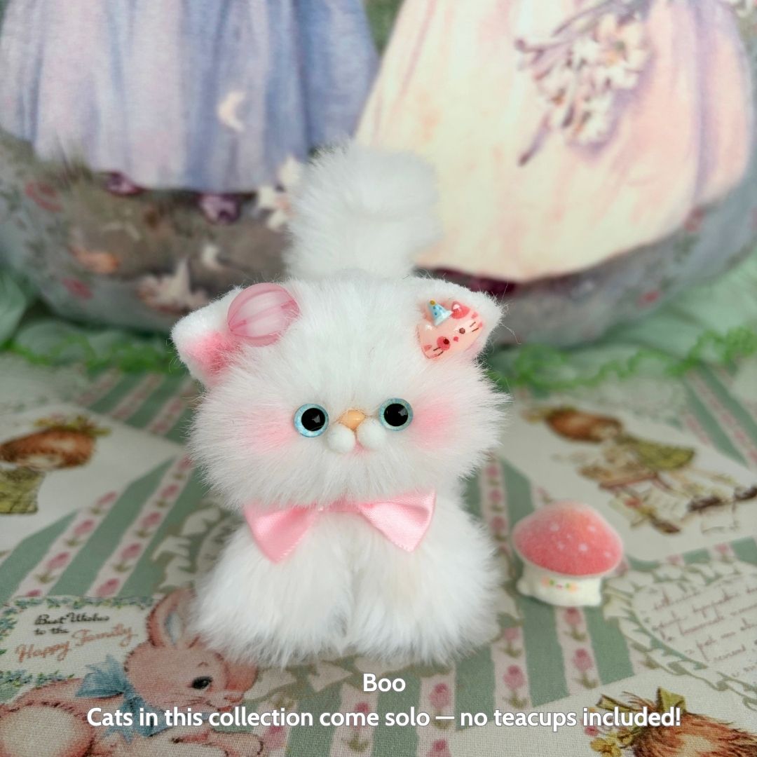 White Kitten Collection