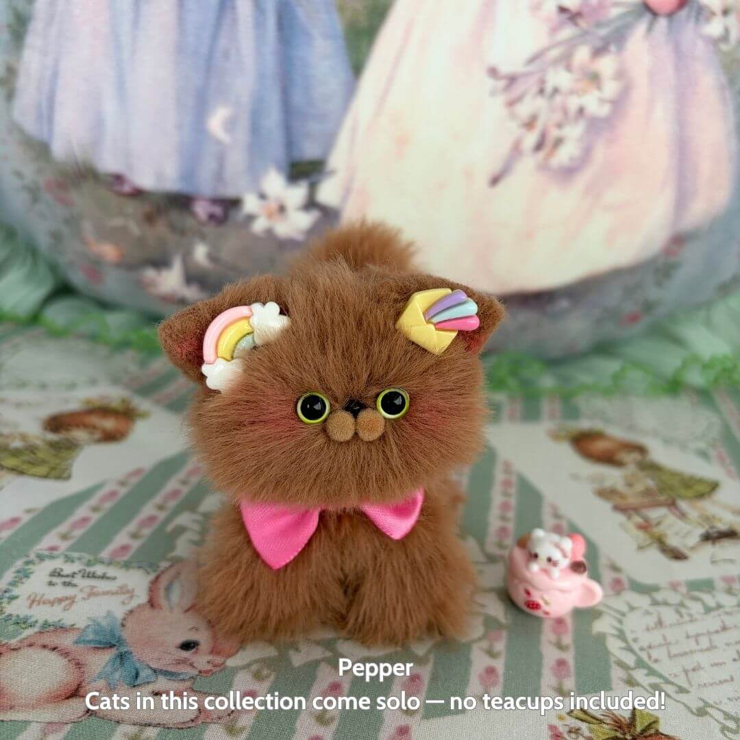 Brown Kitten Collection