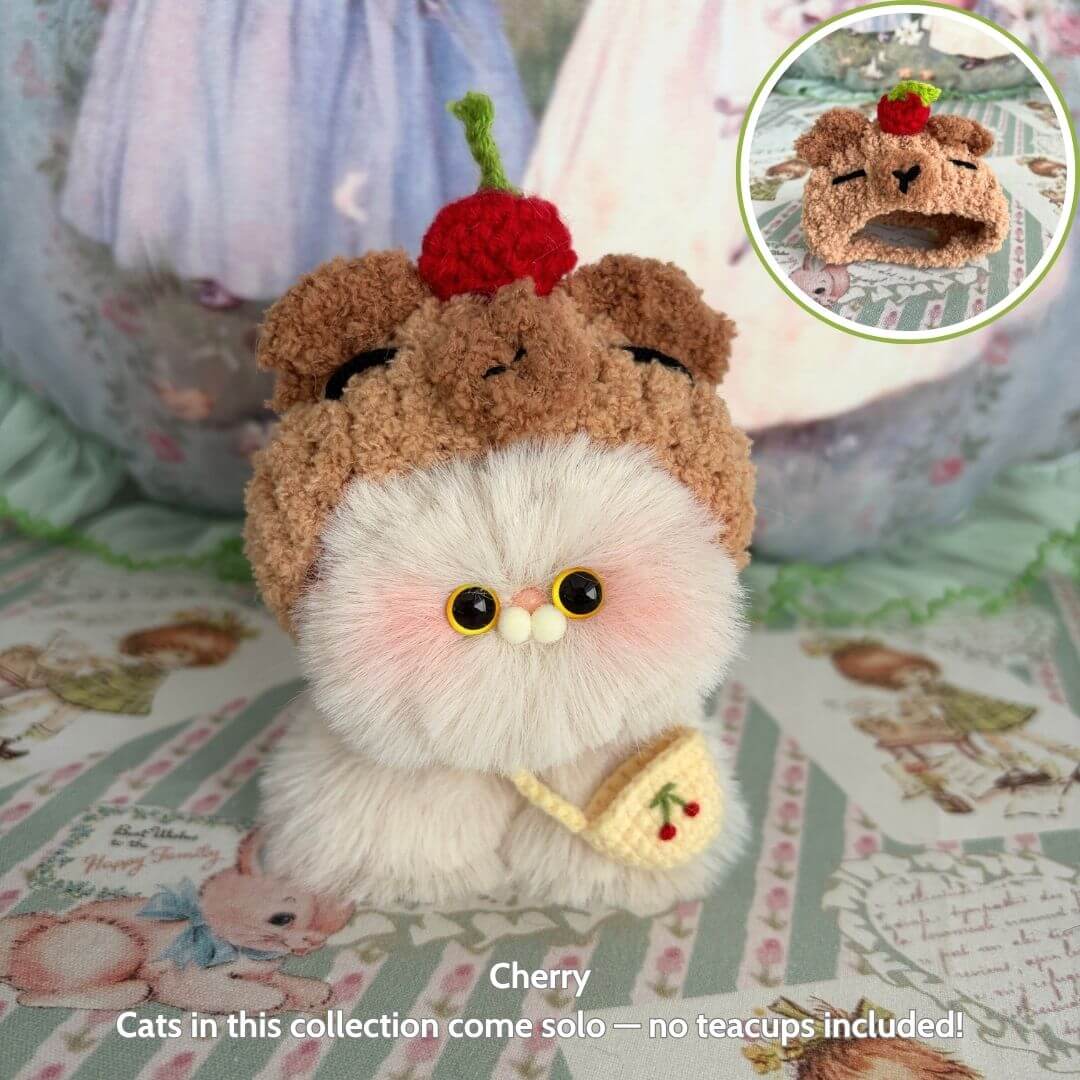 Fluffy Hoodie Kittens