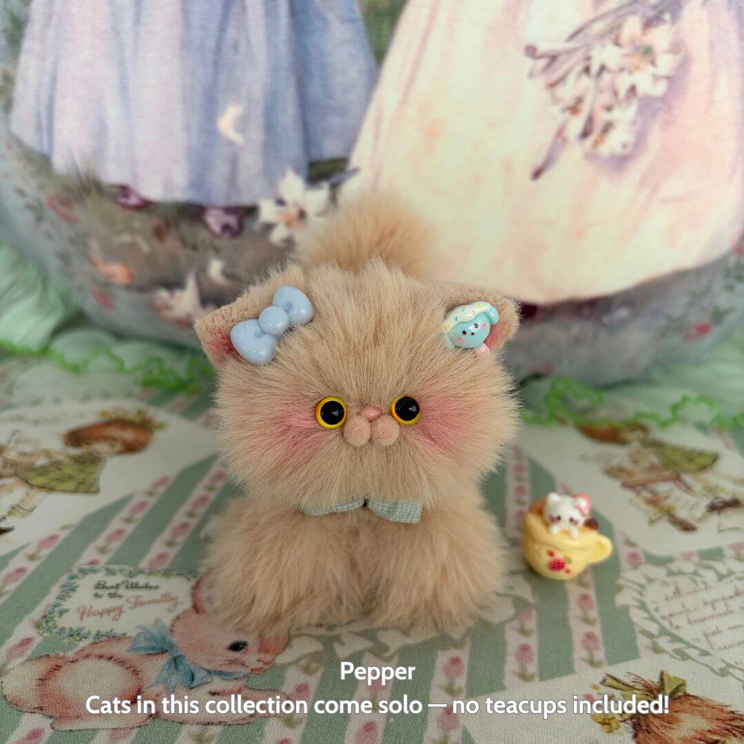 Brown Kitten Collection