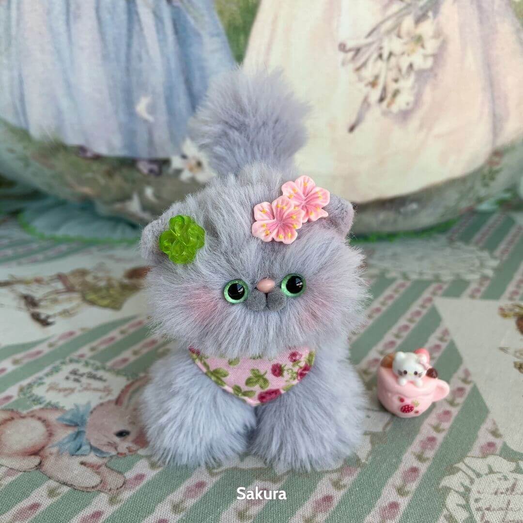 Grey Kitten Collection