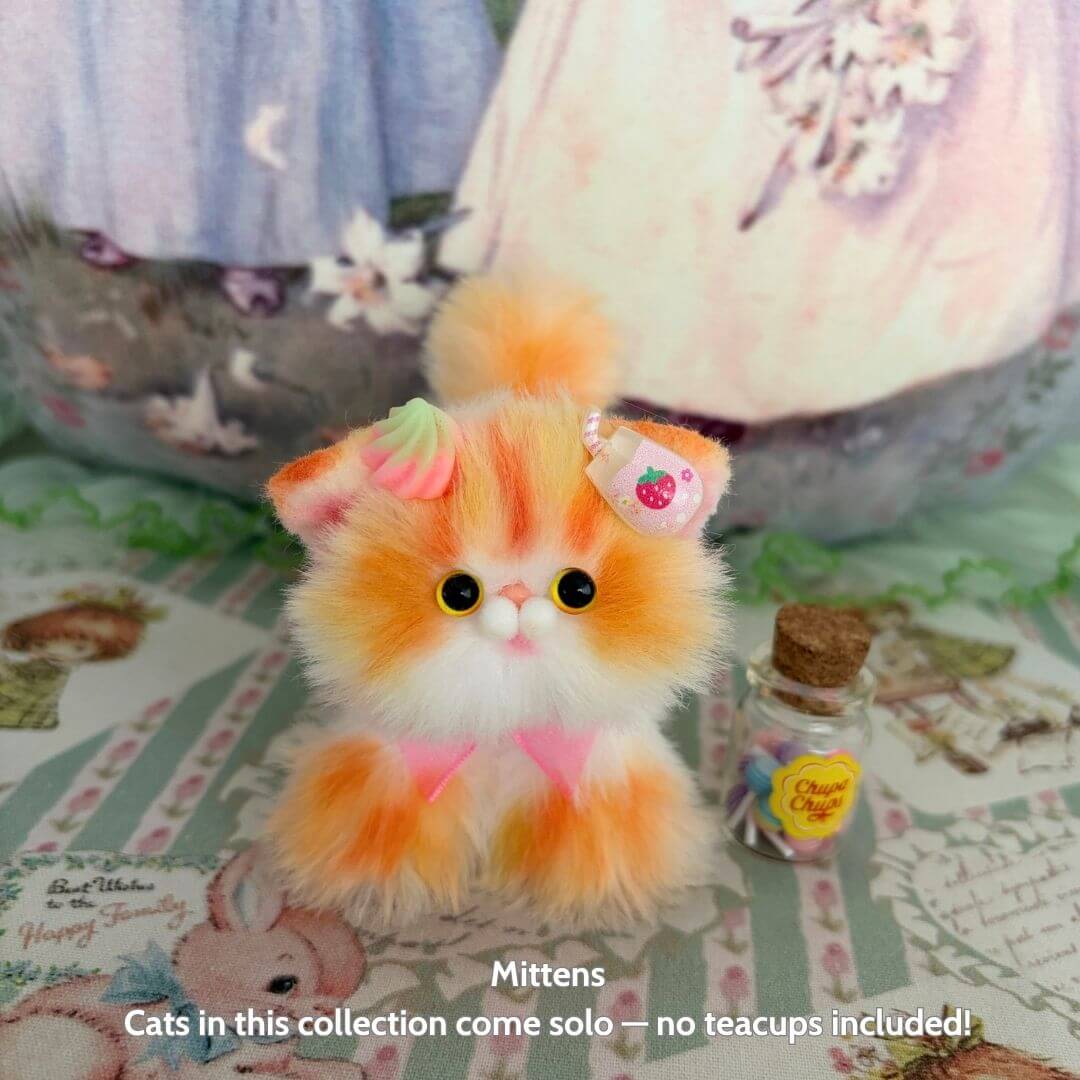 Sweet Dreams Kitten Collection