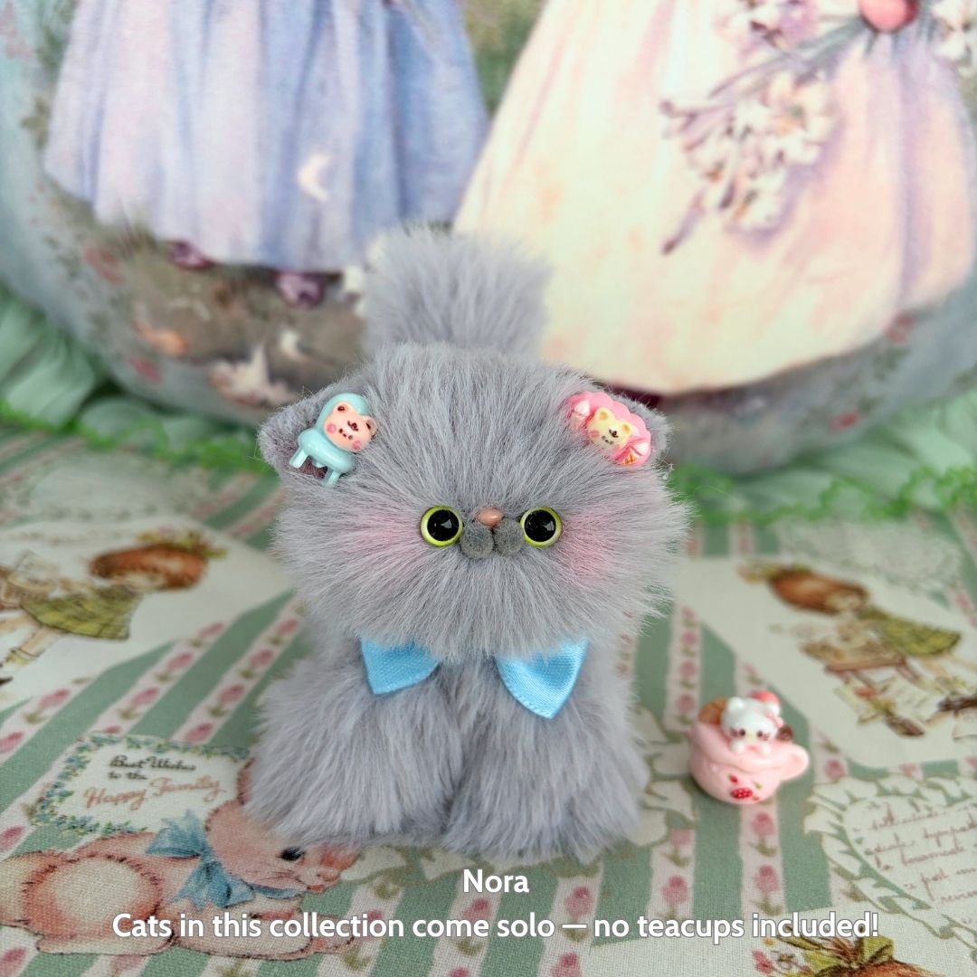 Grey Kitten Collection