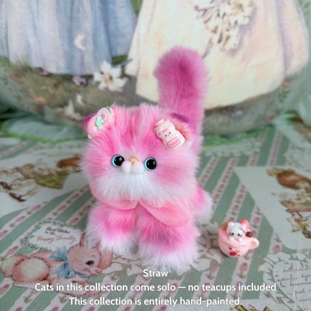 Sweet Dreams Kitten Collection