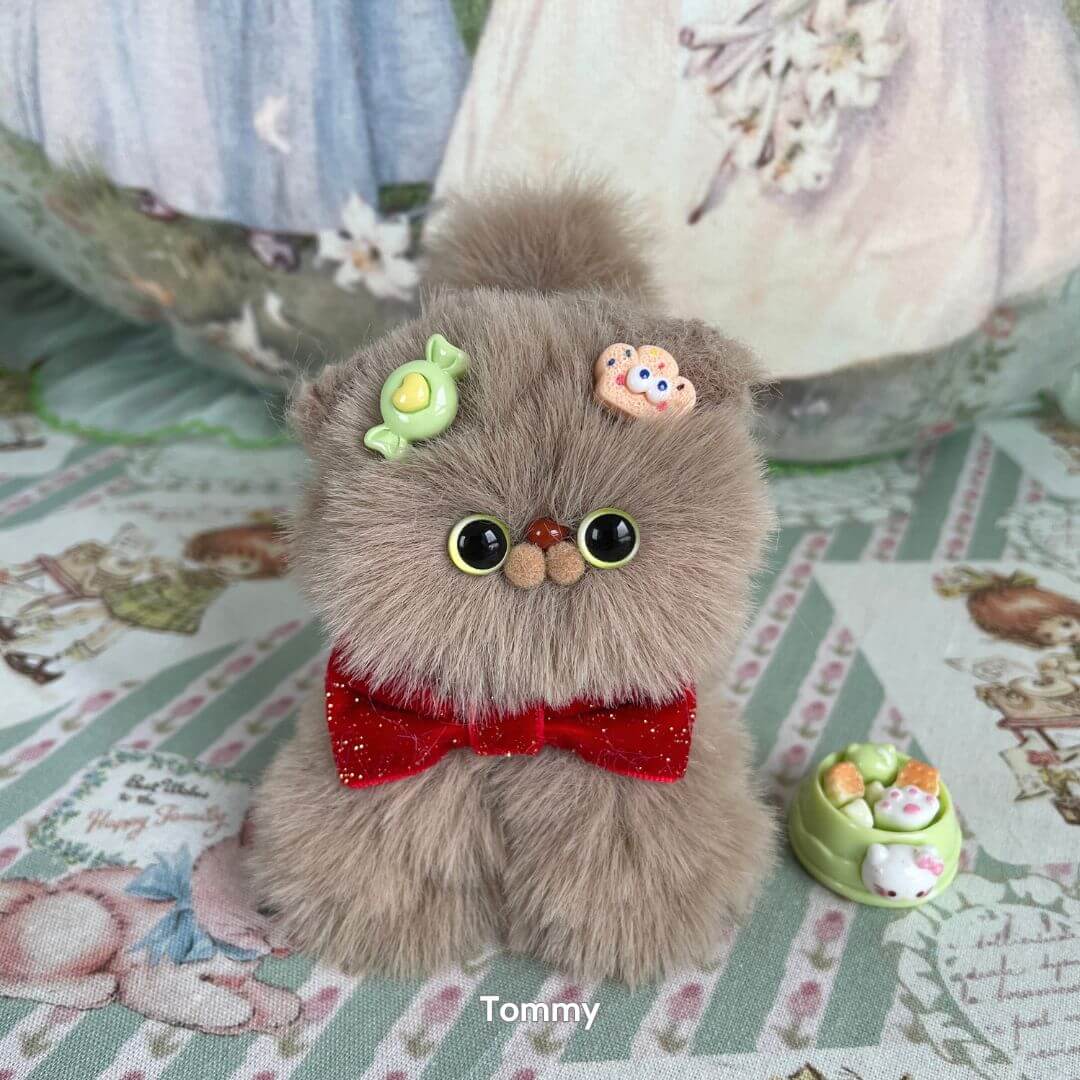 Fluffy Kitten Collection