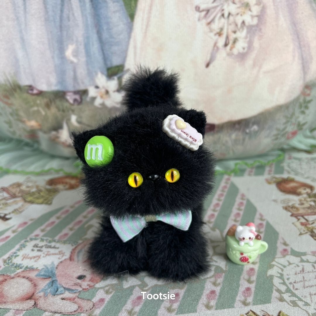Black Kitten Collection