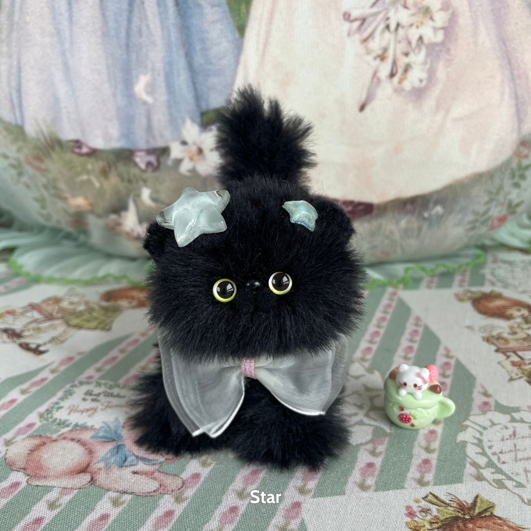 Black Kitten Collection