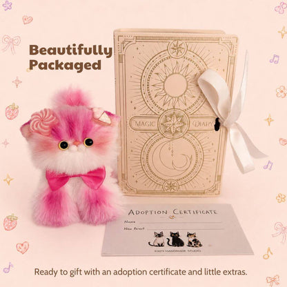 Sweet Dreams Kitten Collection