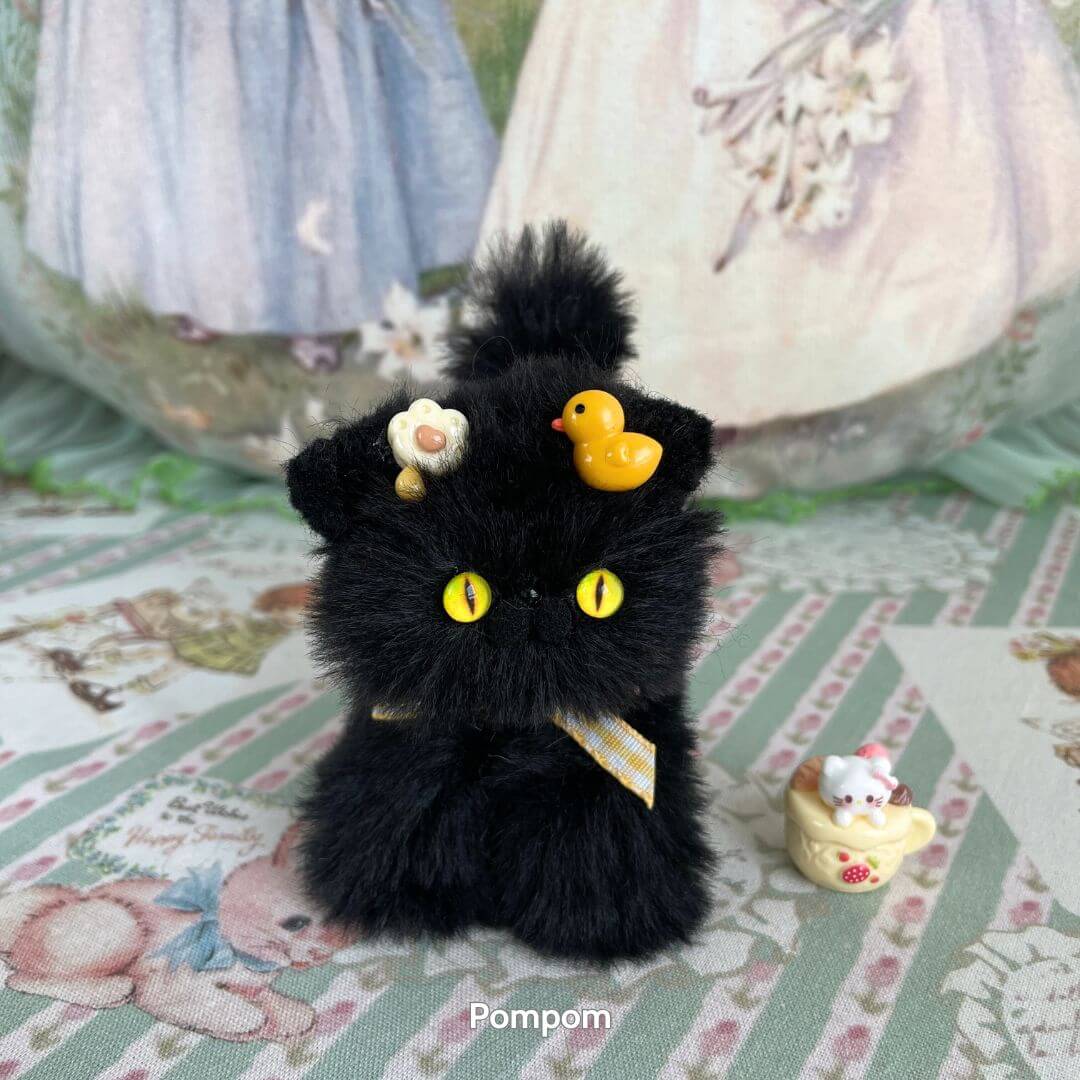 Black Kitten Collection