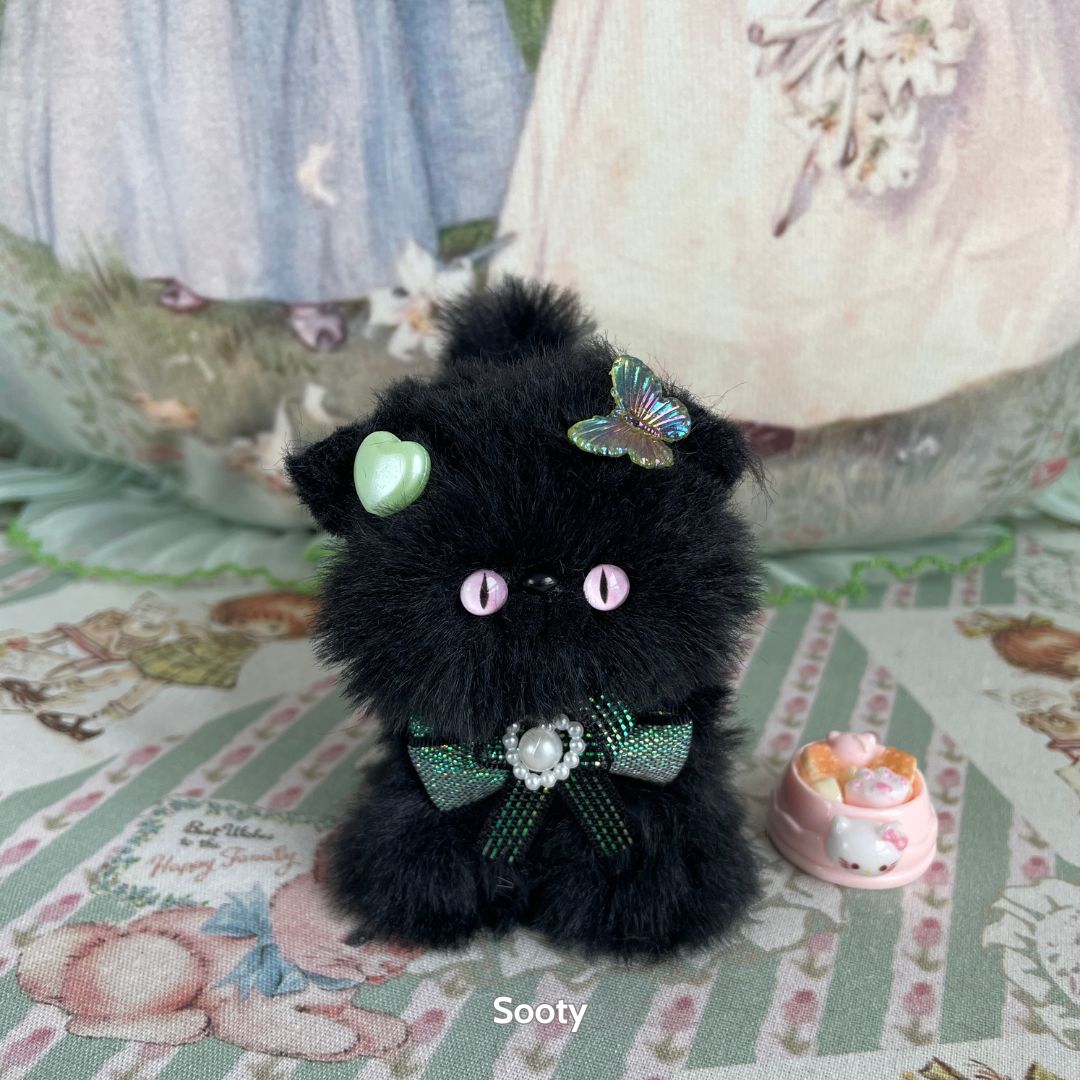 Black Kitten Collection