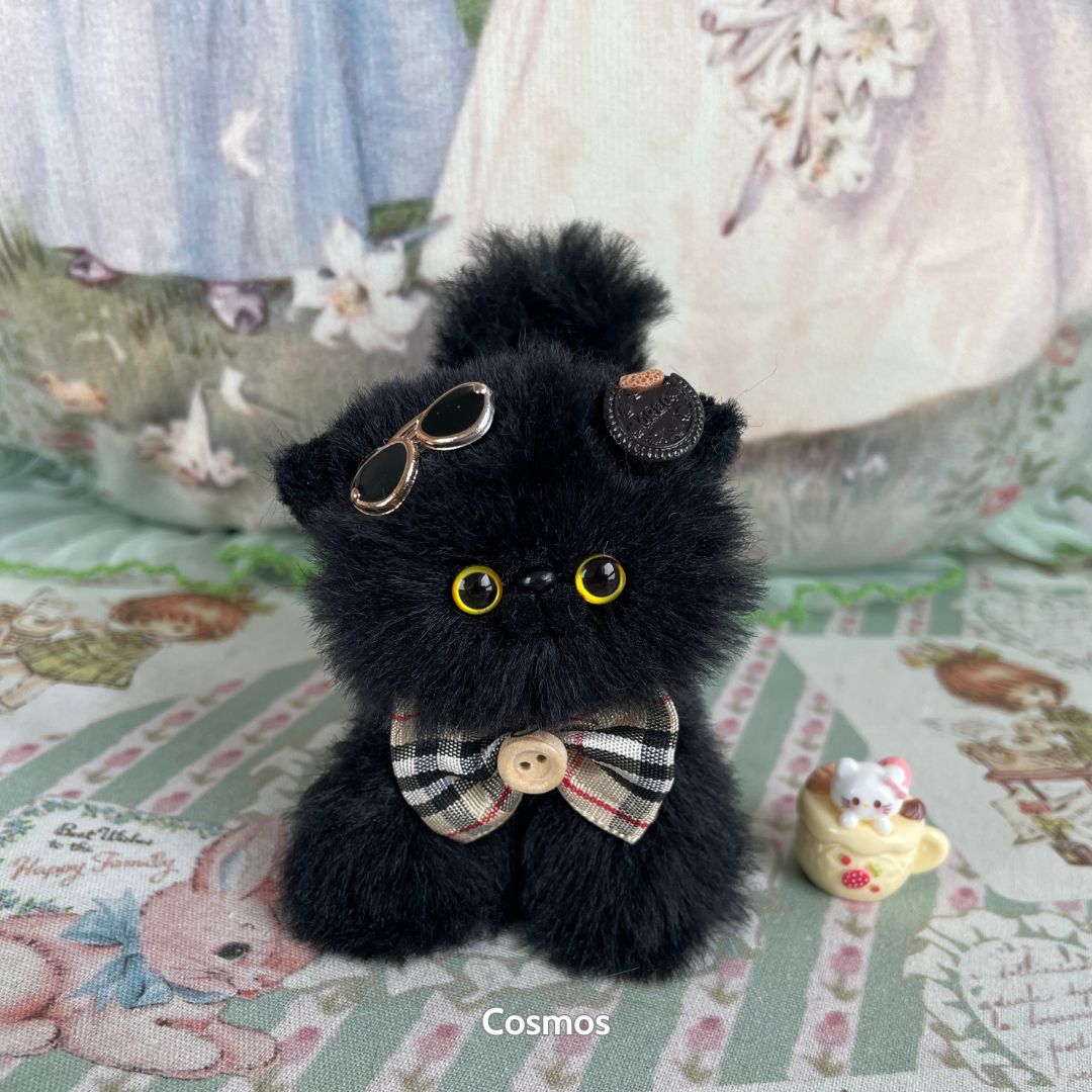 Black Kitten Collection