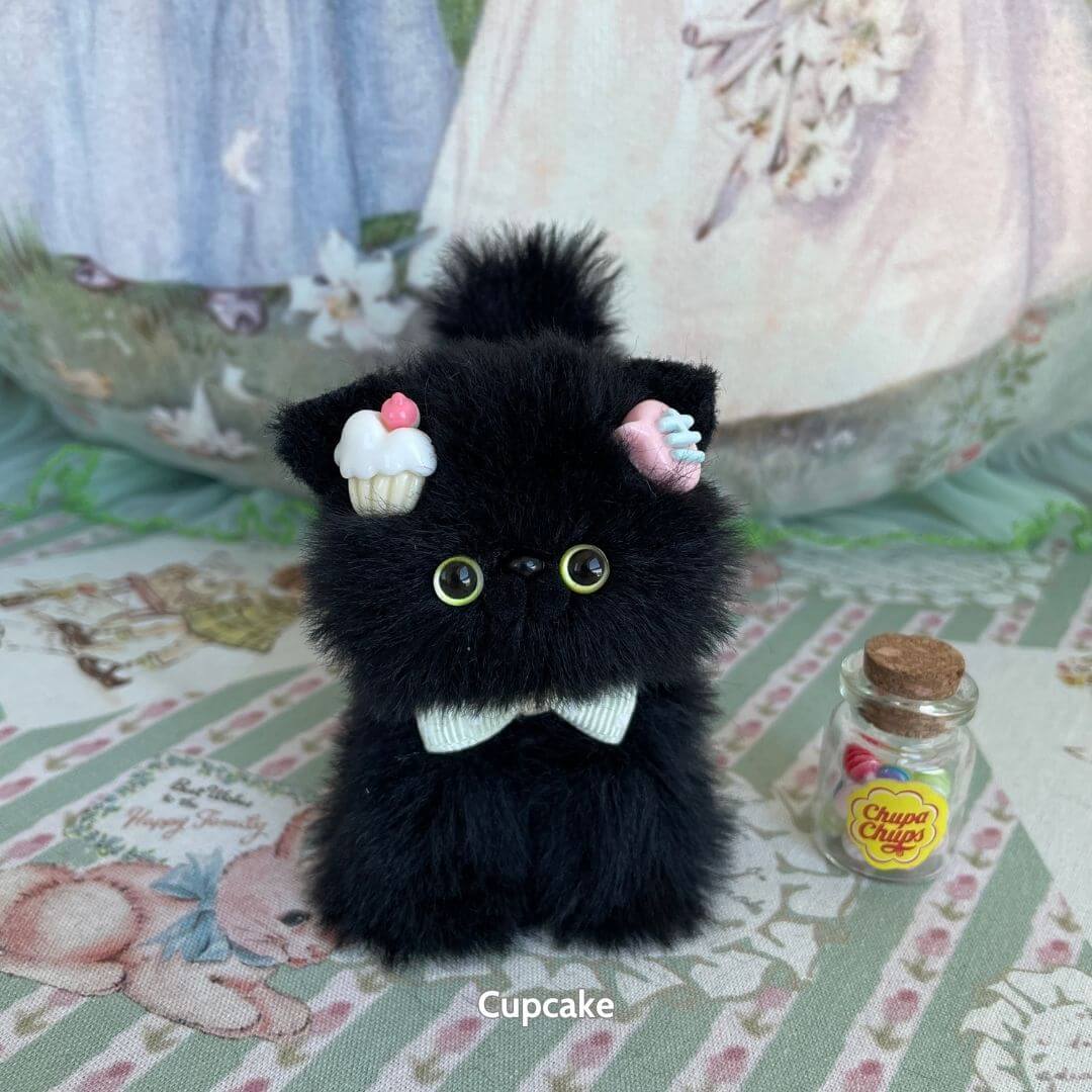 Black Kitten Collection