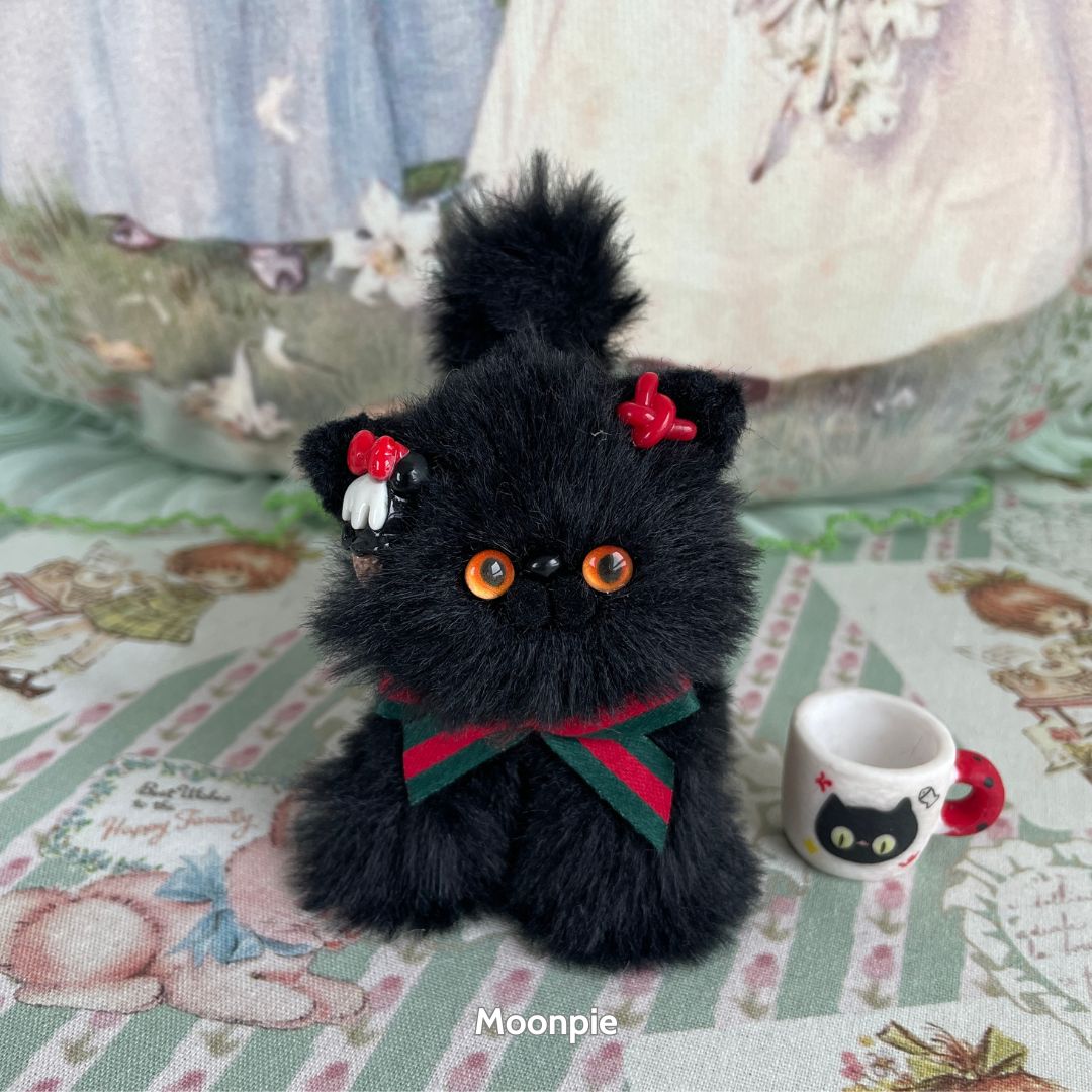 Black Kitten Collection