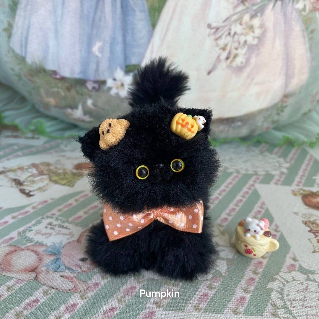 Black Kitten Collection
