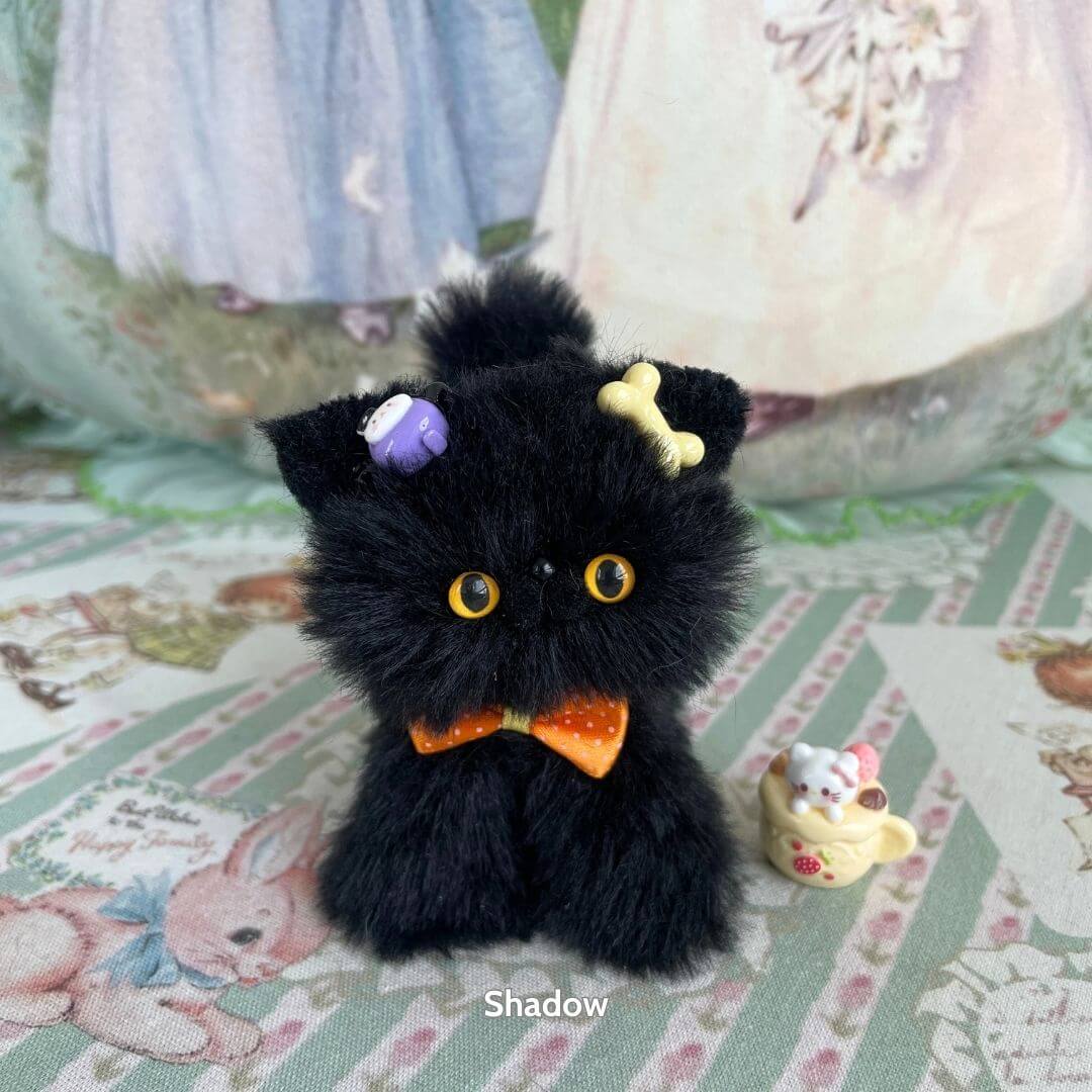 Black Kitten Collection