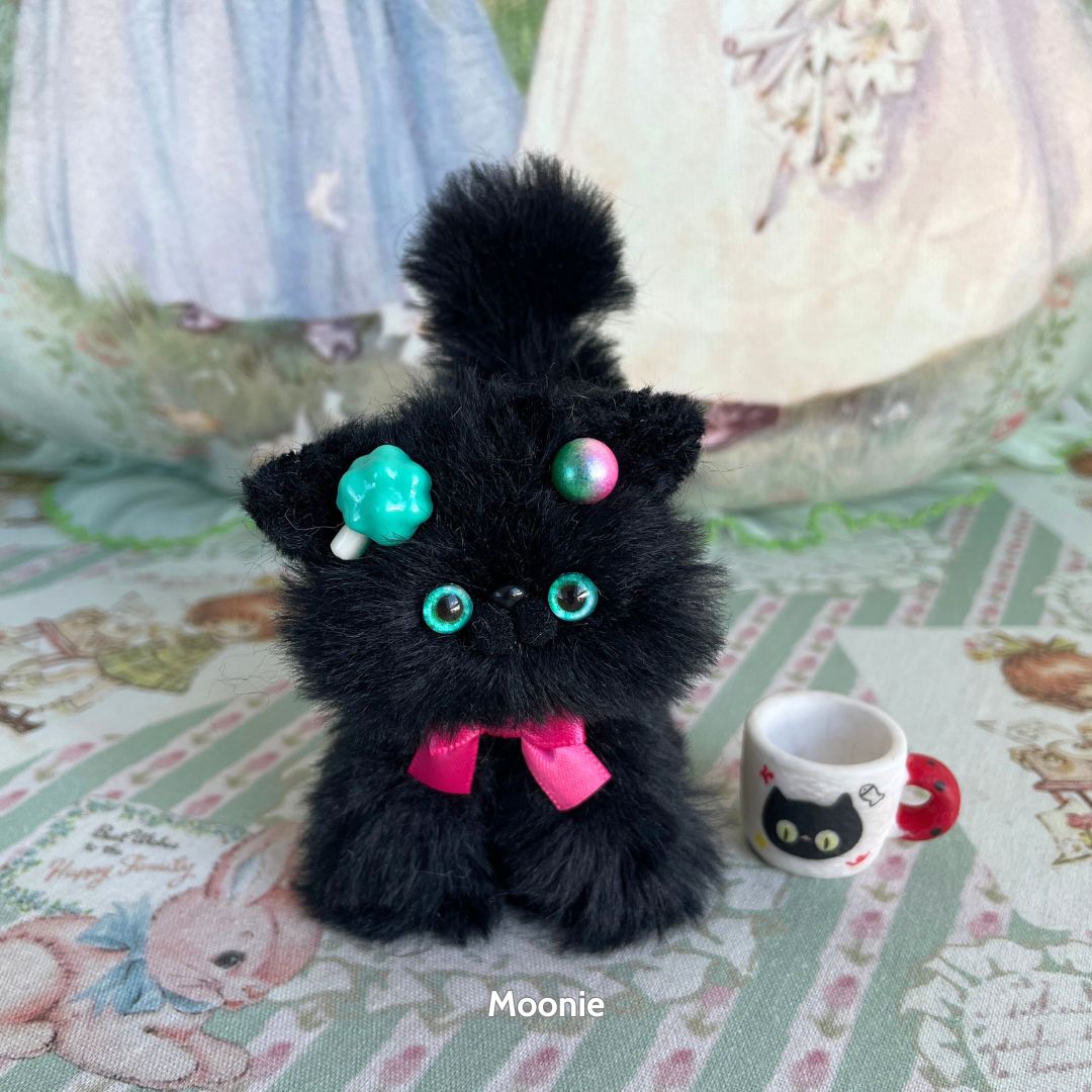Black Kitten Collection