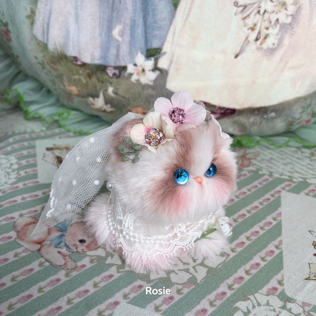 Blossom Kitten Collection