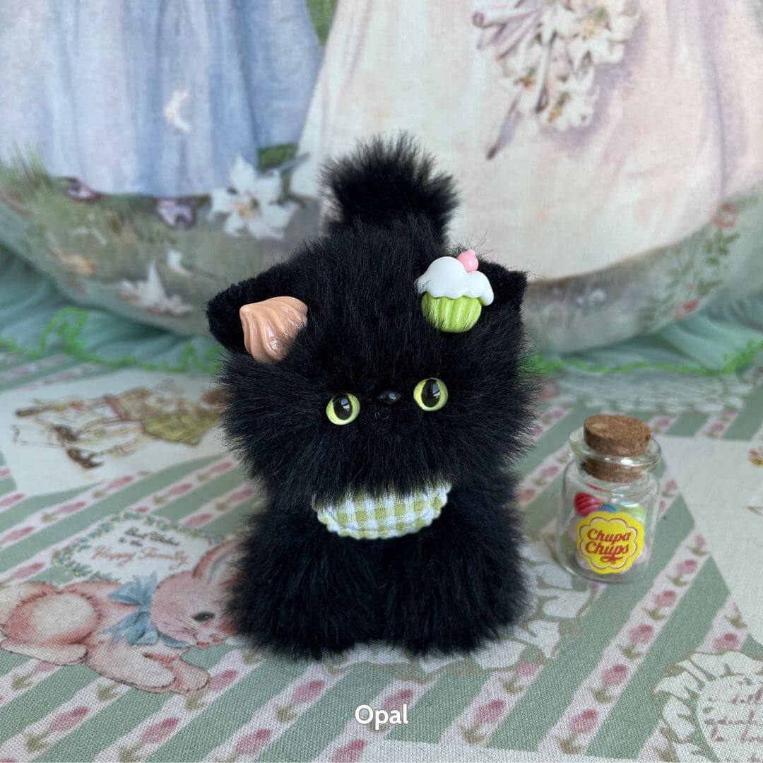 Black Kitten Collection