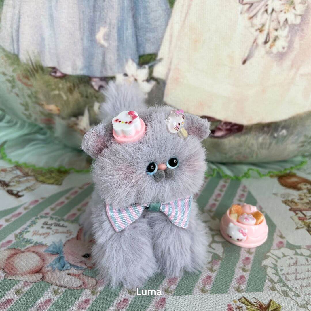 Grey Kitten Collection