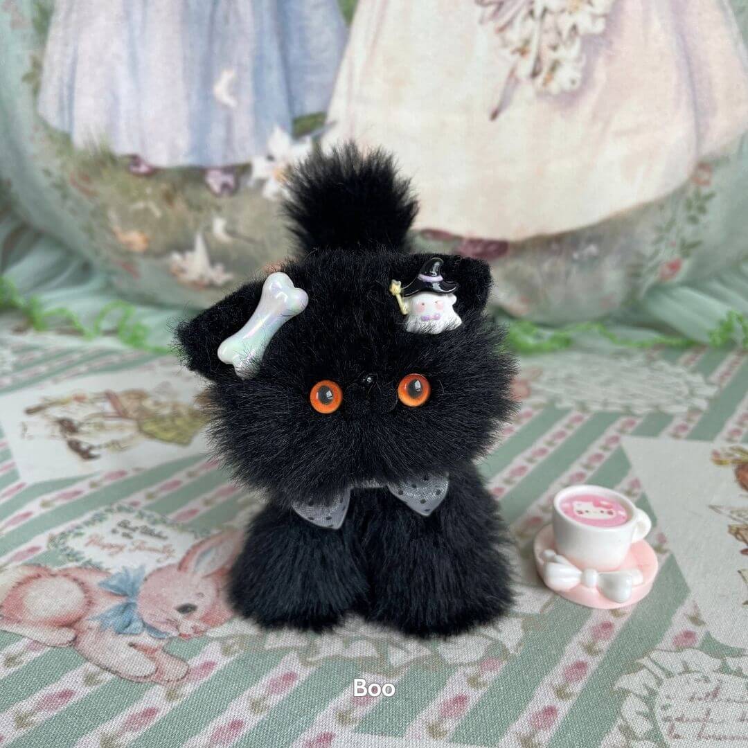 Black Kitten Collection