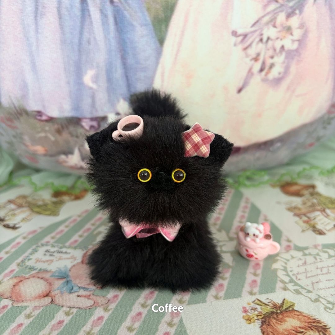Black Kitten Collection