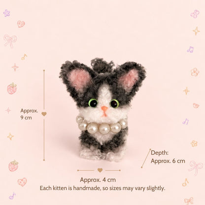 Devon Rex Kitties