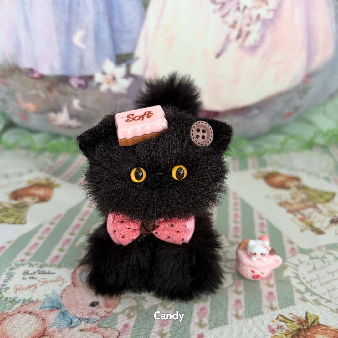 Black Kitten Collection