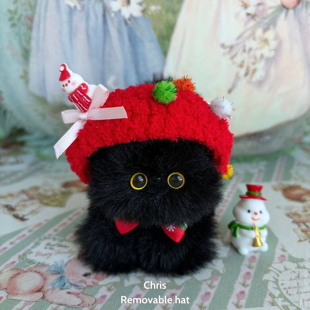 Fluffy Hoodie Kittens