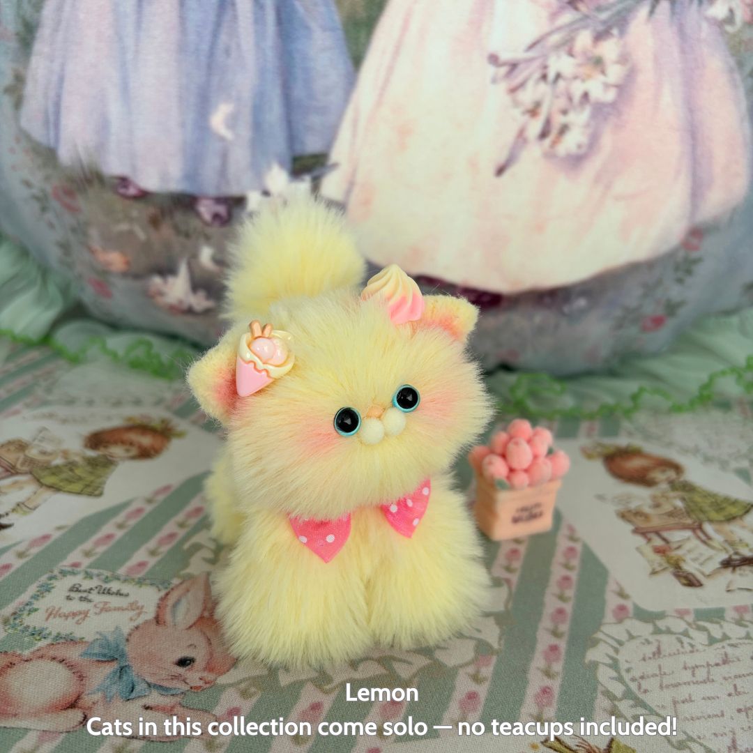 Fruity Kitten Collection