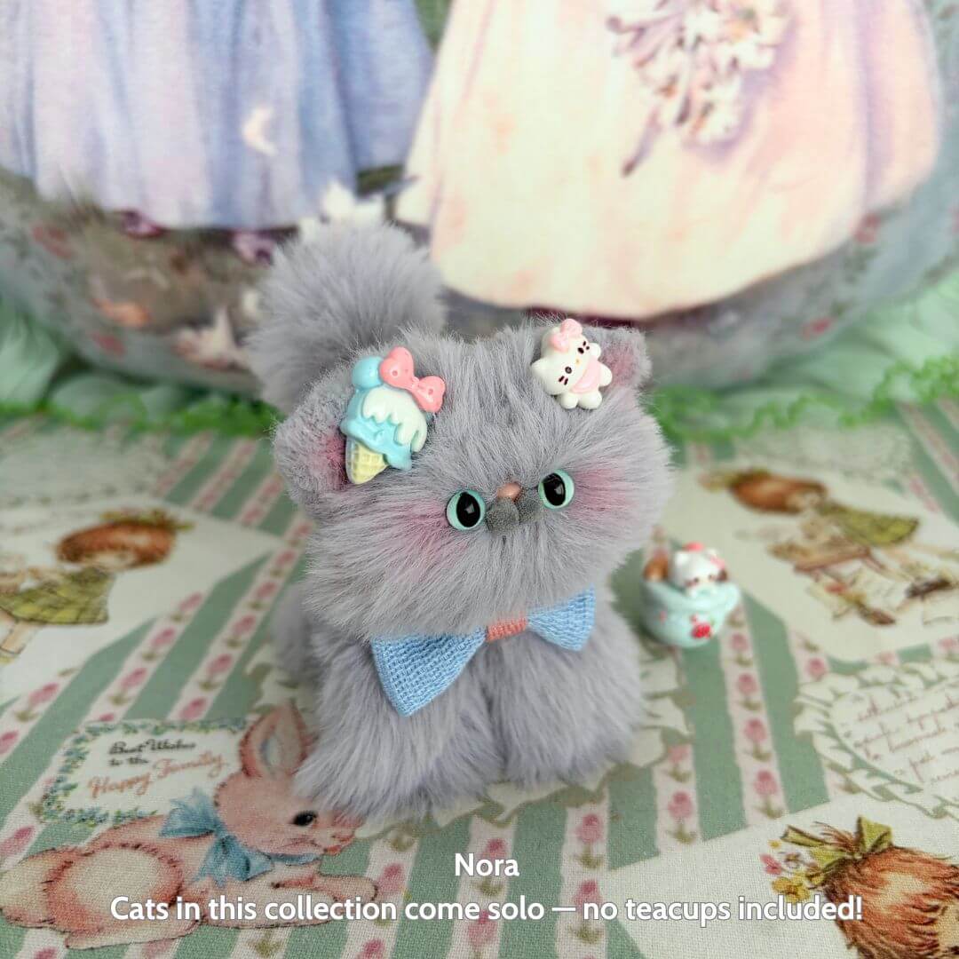 Grey Kitten Collection