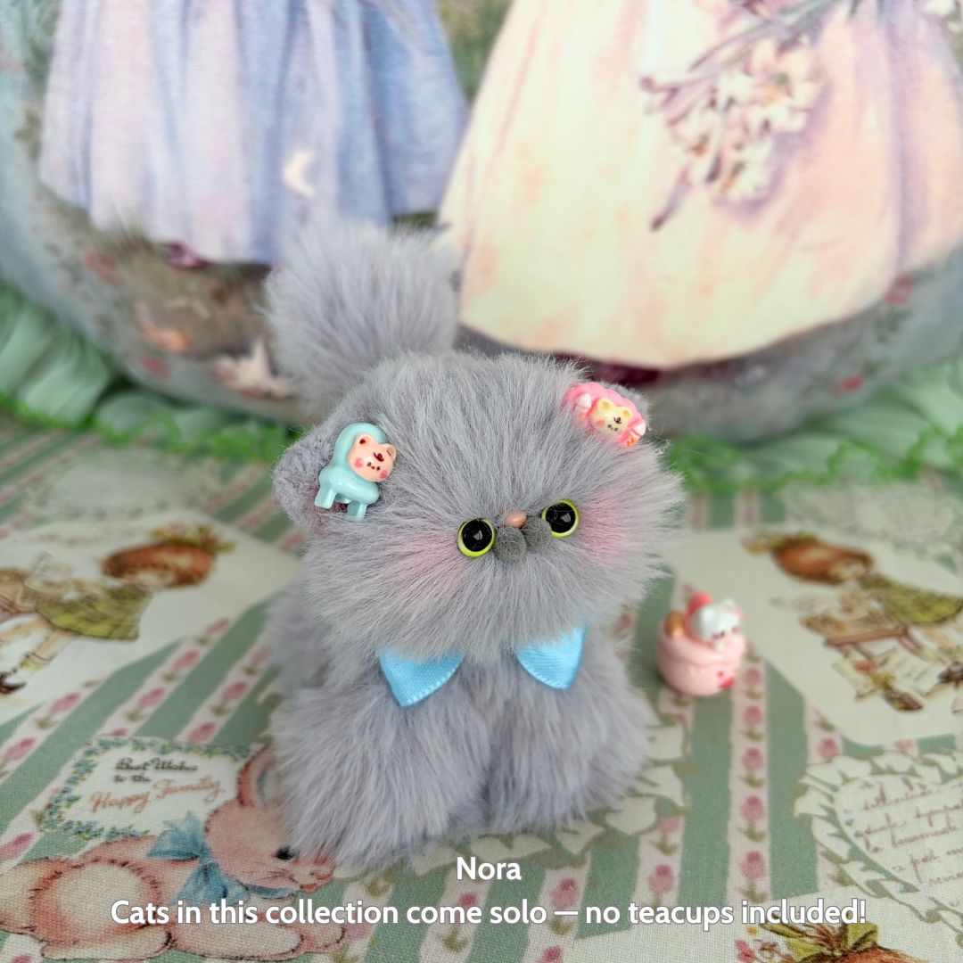 Grey Kitten Collection