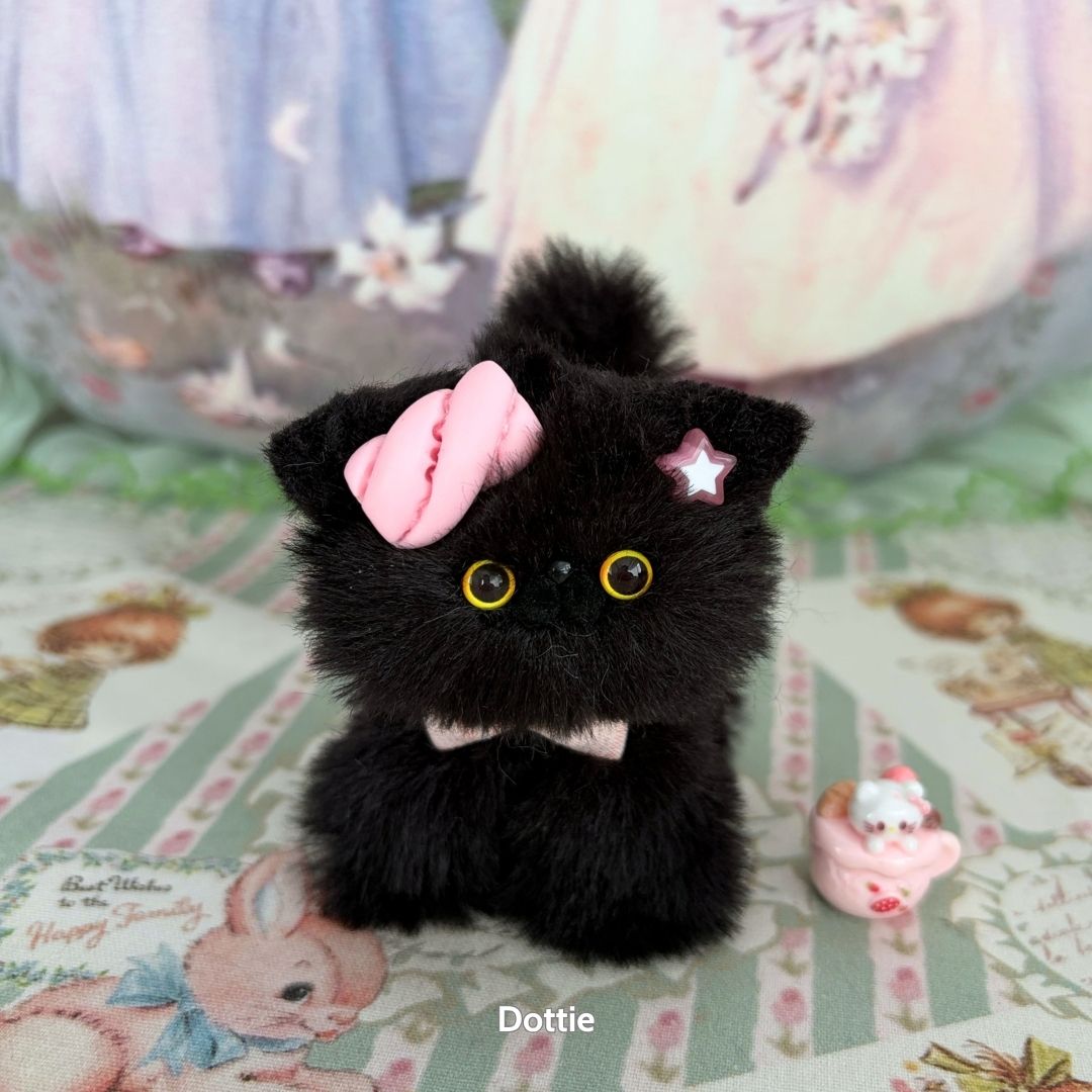 Black Kitten Collection