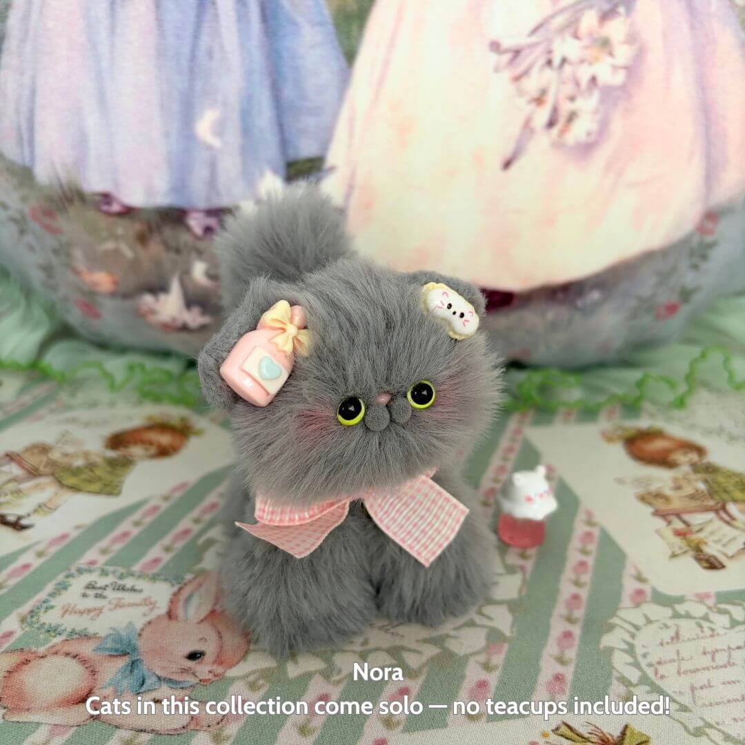 Grey Kitten Collection