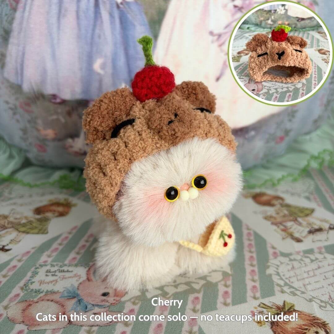 Fluffy Hoodie Kittens