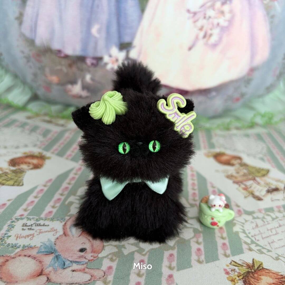 Black Kitten Collection