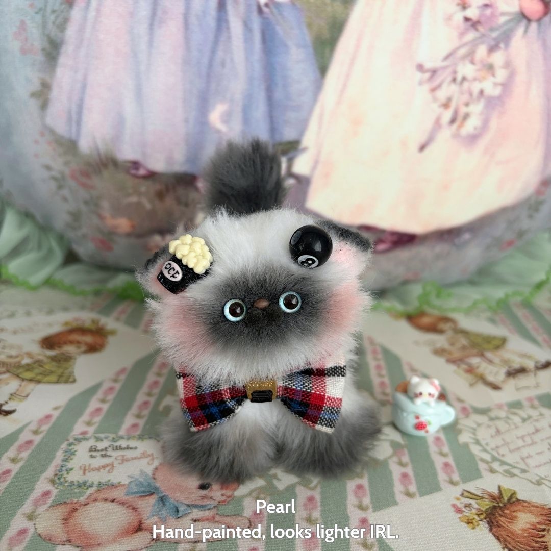 Adorable Kitten Collection