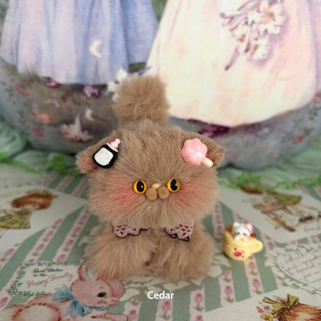 Brown Kitten Collection