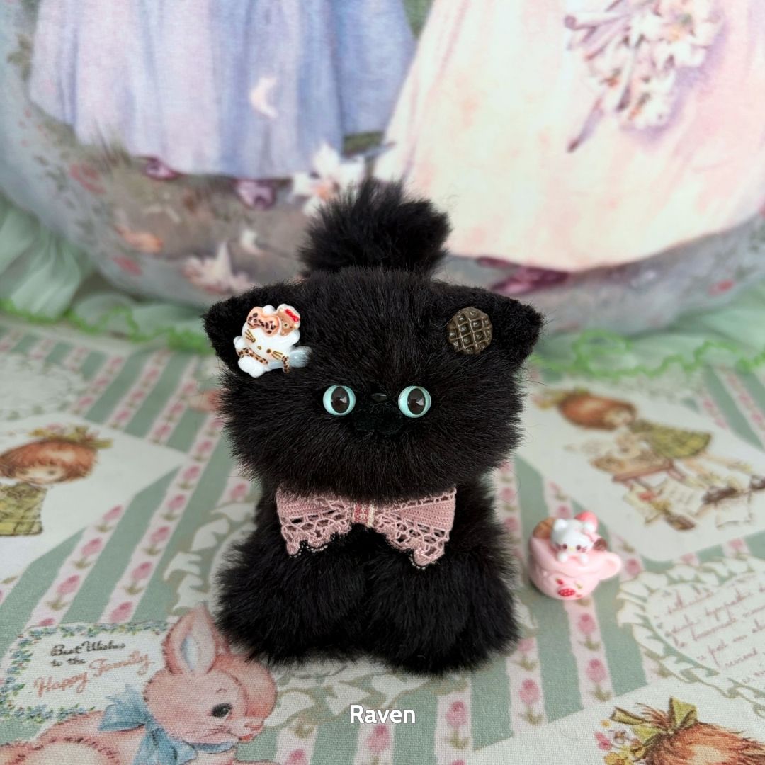 Black Kitten Collection