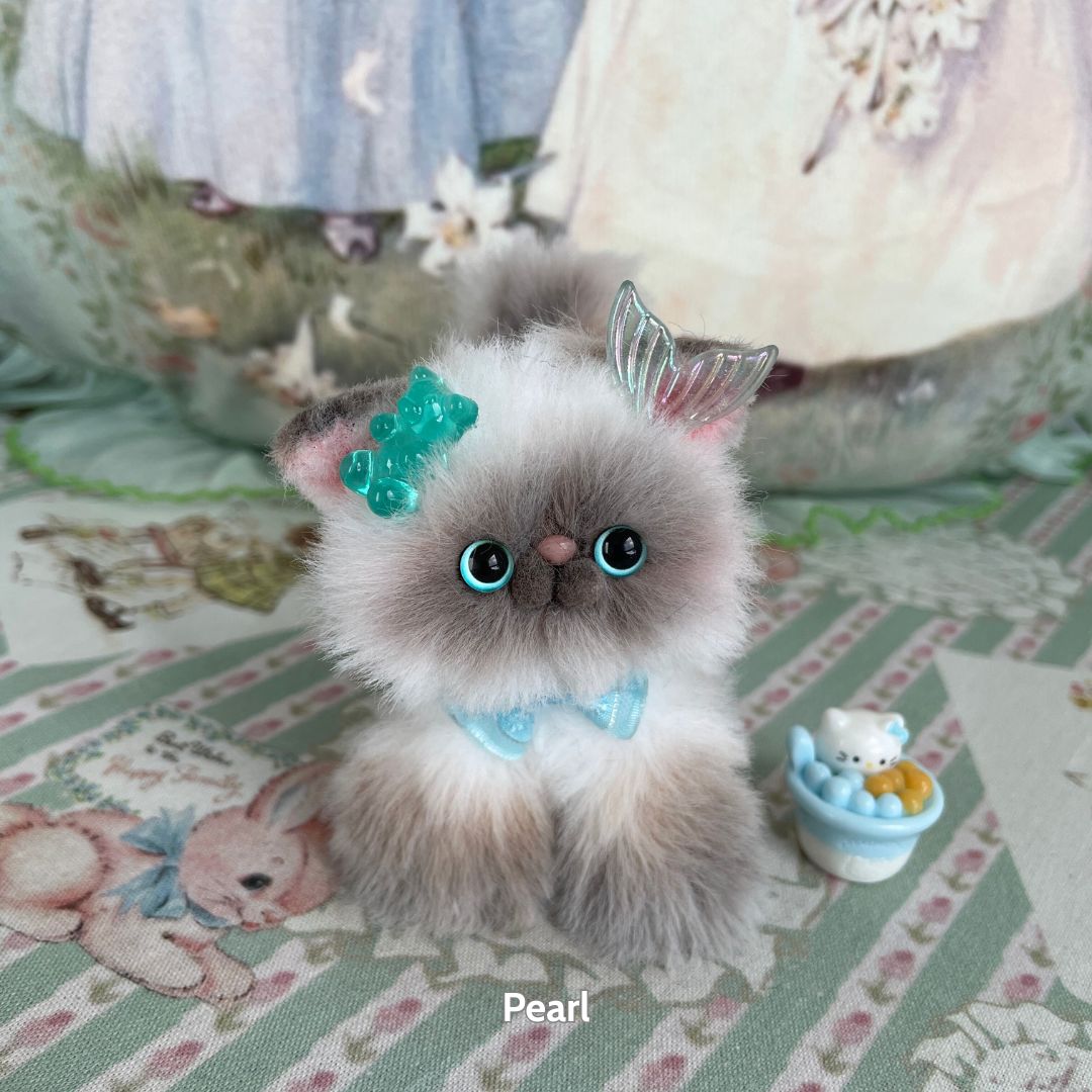 Adorable Kitten Collection