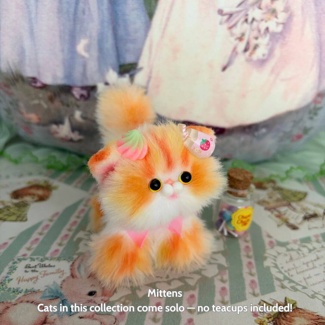 Sweet Dreams Kitten Collection