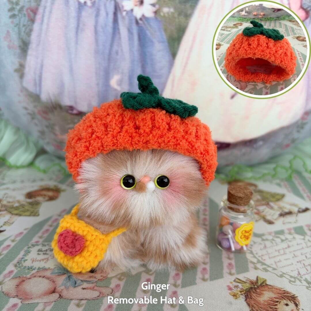 Fluffy Hoodie Kittens