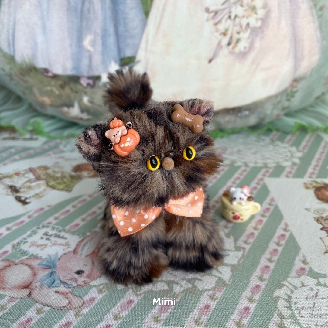 Adorable Kitten Collection